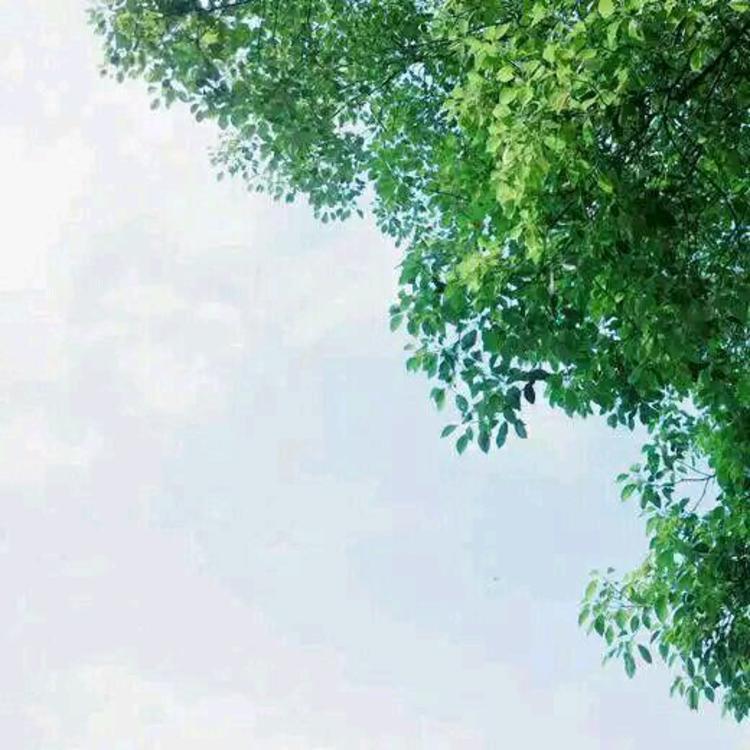 濑田宗次郎（身份：十刃最强、“天剑”、微笑的修罗） - 手机端流畅在线观看 - 在线看电影